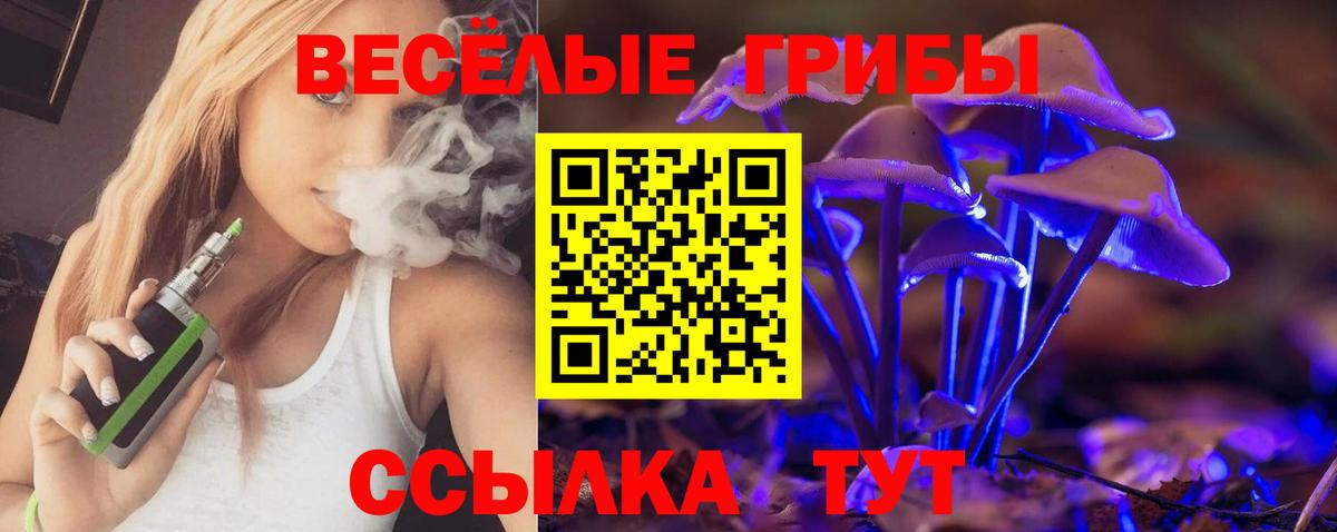Псилоцибиновые грибы Psilocybine cubensis Кунгур